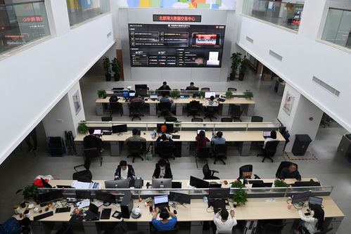 中國與東盟聚焦數字合作，推動網絡信息咨詢服務發展