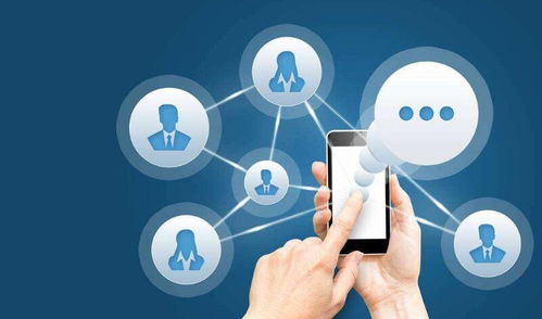 網絡品牌推廣與網絡信息咨詢服務的協同之道